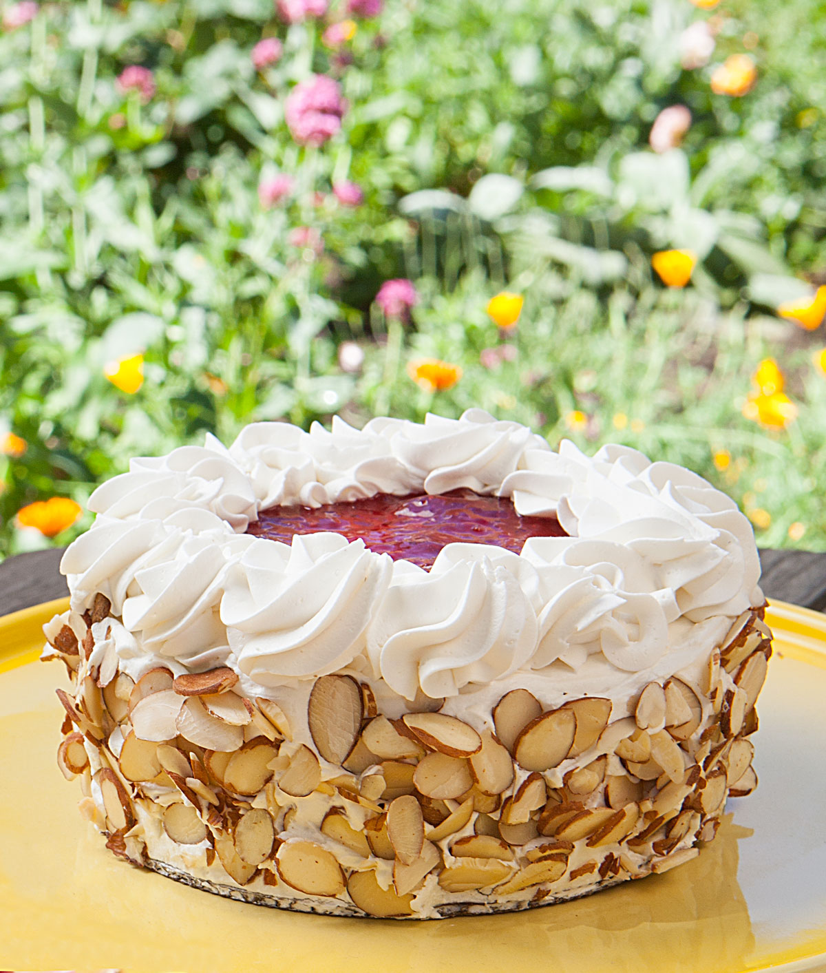 Sugar Plum Vegan Cake