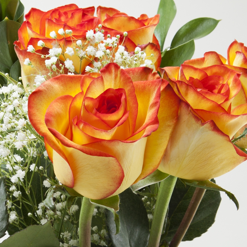 Rose Bouquet  $9.99, save $2