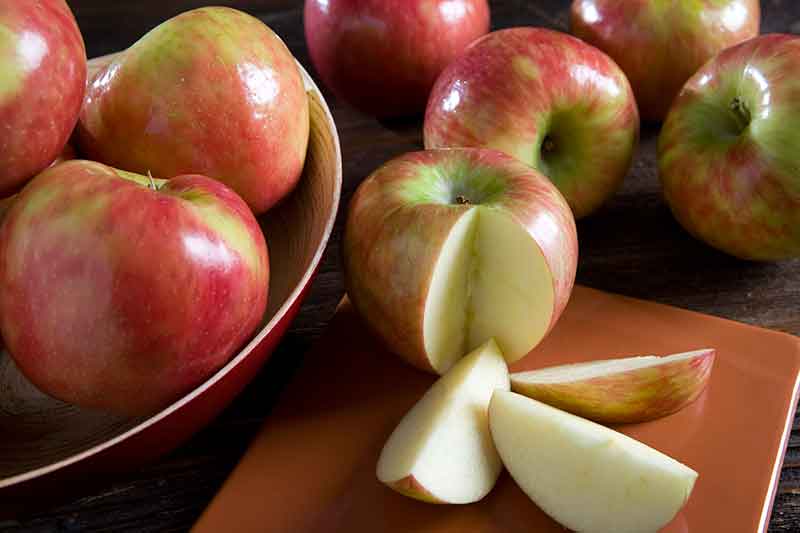 Honey Crisp Apples