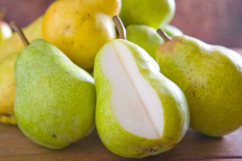 bartlett pears